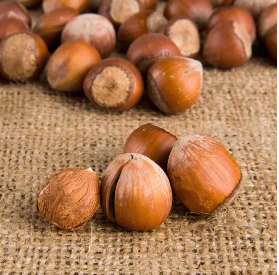 Fındık Kabuklu-1 Kg