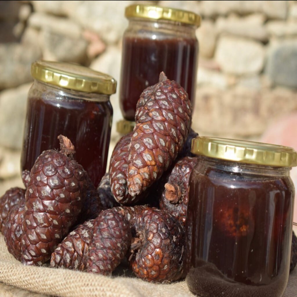 Kozalak Şurubu-630 Gr